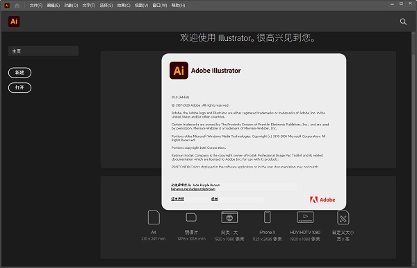 AI2021免费破解版安装包下载 中文免激活版