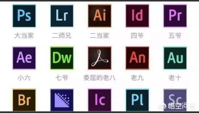Adobe 的 软件 是什么？它们的用途是什么？