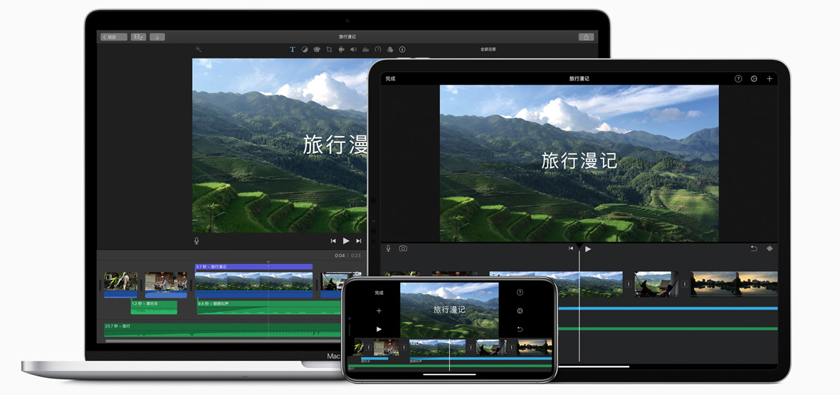 Adobe破解版全网下架？不慌！这些高性价比正版神器可完美替代