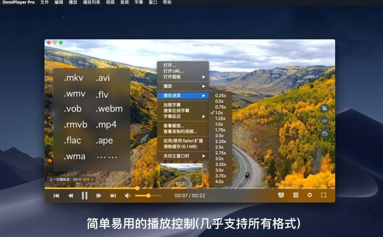 OmniPlayer Pro macOS 全能影音播放‪器