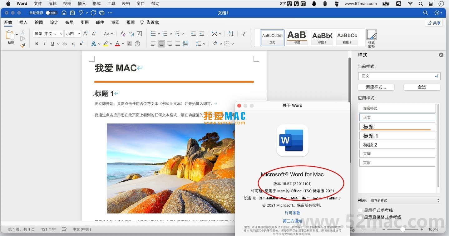 Microsoft Office 2021 for Mac LTSC v16.57 办公软件 破解版下载