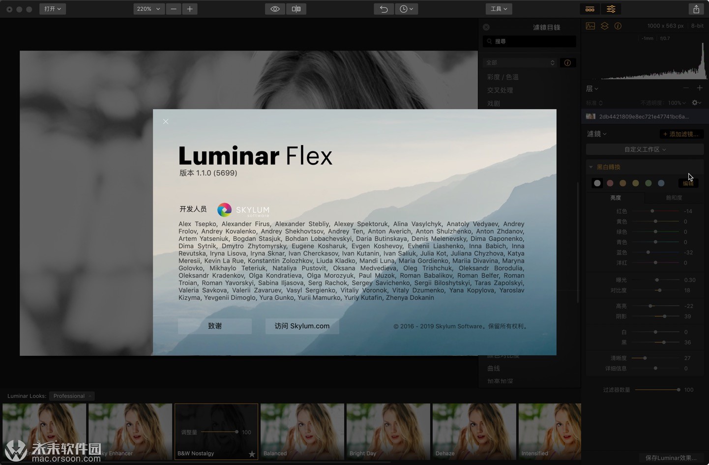 用于 mac（照片滤镜增强器）的 Luminar Flex
