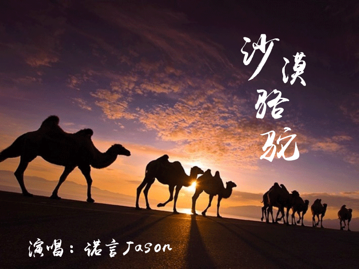 沙漠骆驼伴奏中文版