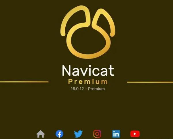 注册机实用步骤 Navicat Premium for Mac 2023 破解版